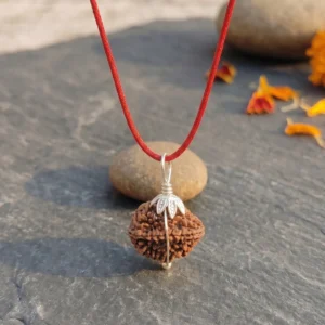 2 Mukhi Nepali Rudraksha