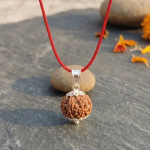 Collections 6 mukhi nepali rudraksh pendant